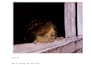 ghostwrite captivating poetry and prose for you